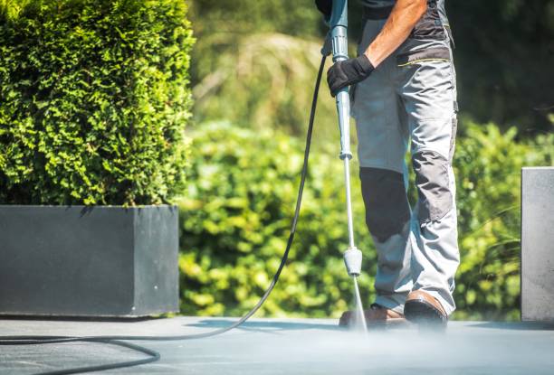 Best Fence Cleaning  in Arcadia, FL